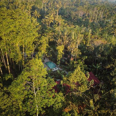 Daydream Lodge Tampaksiring Exterior foto