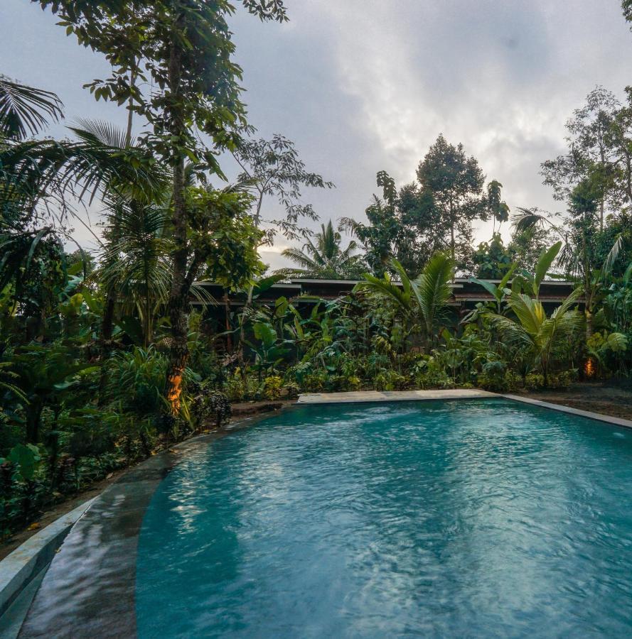 Daydream Lodge Tampaksiring Exterior foto
