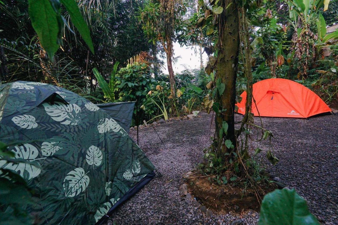 Daydream Lodge Tampaksiring Exterior foto