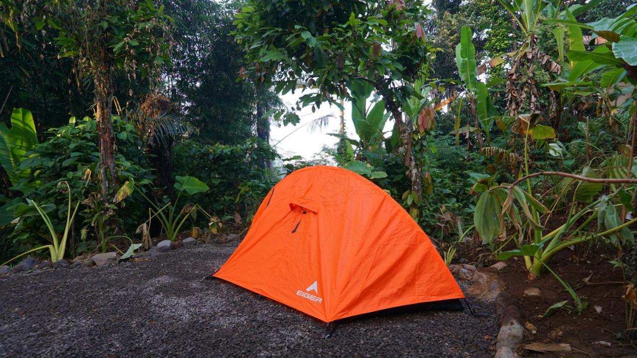 Daydream Lodge Tampaksiring Exterior foto
