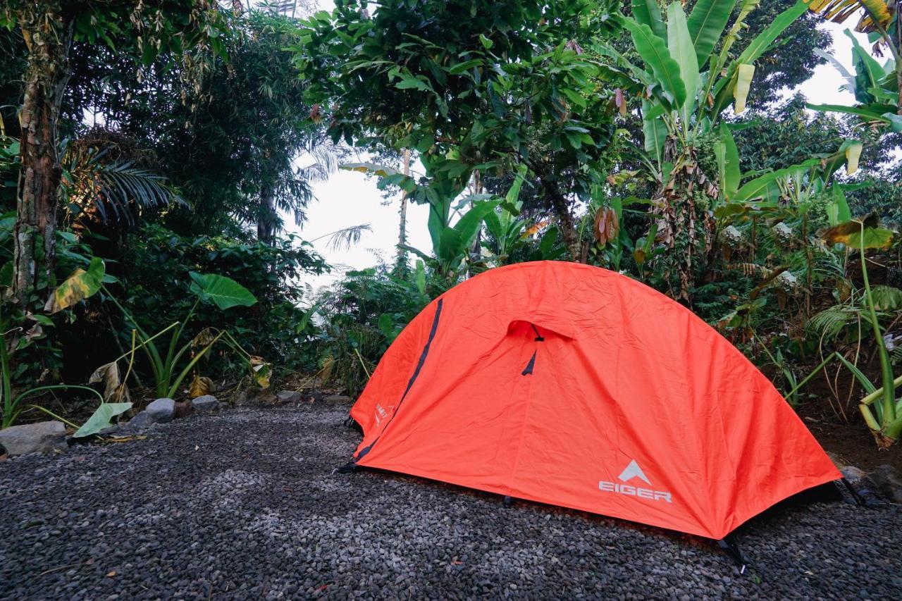 Daydream Lodge Tampaksiring Exterior foto