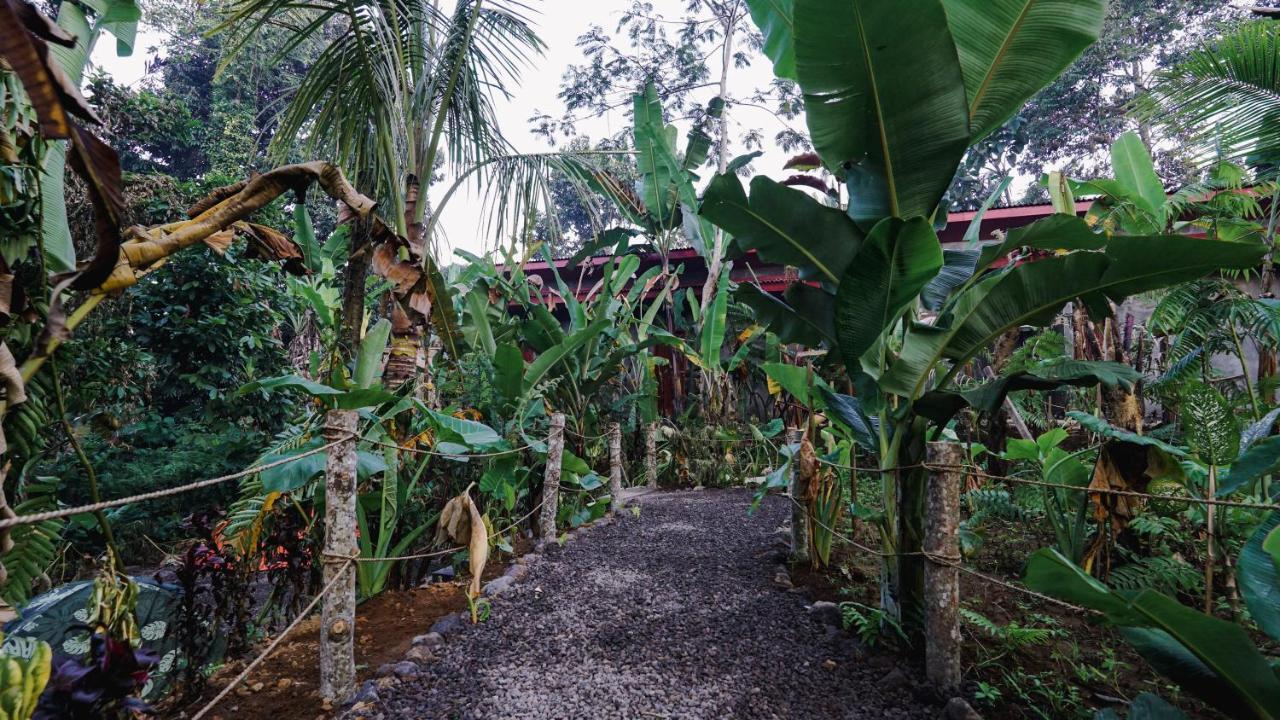 Daydream Lodge Tampaksiring Exterior foto