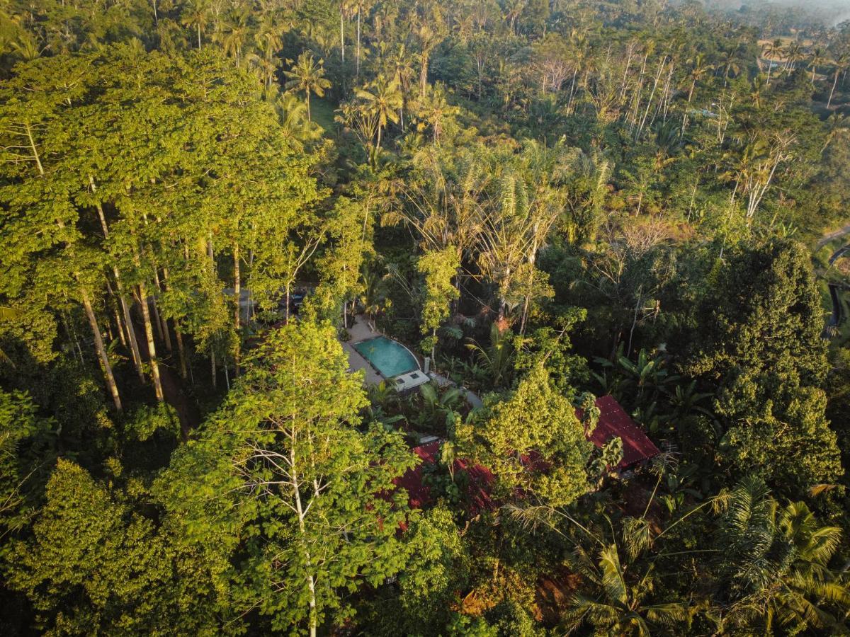 Daydream Lodge Tampaksiring Exterior foto