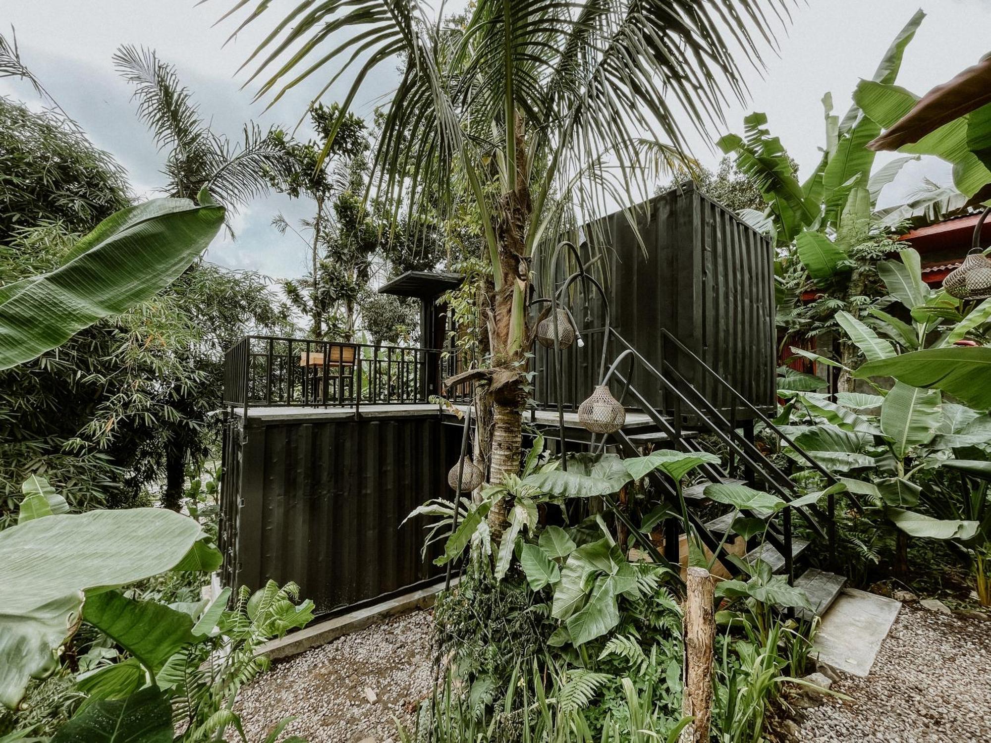 Daydream Lodge Tampaksiring Exterior foto